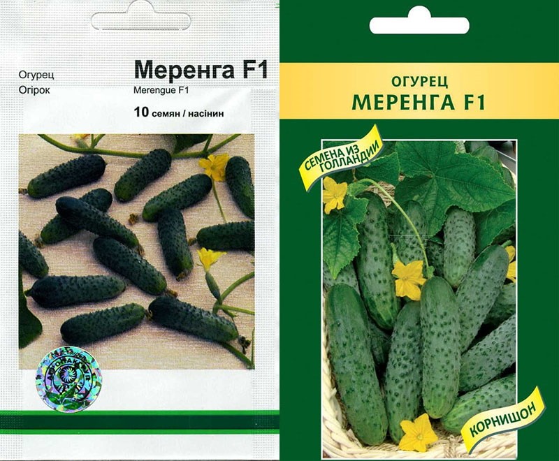 Graines de concombre meringuées