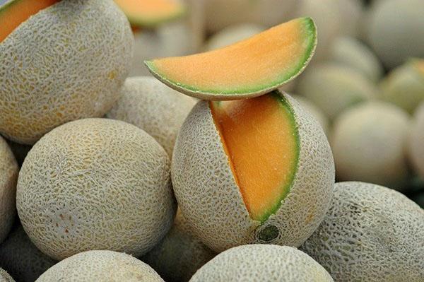 Melón Cantaloupe tiene pulpa de naranja