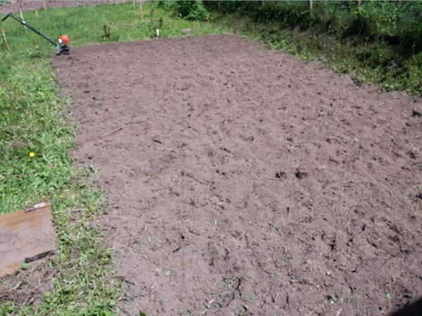 Excavado en el suelo