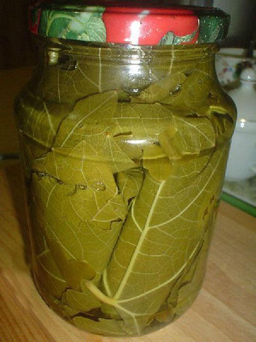 pepinos en hojas con vodka