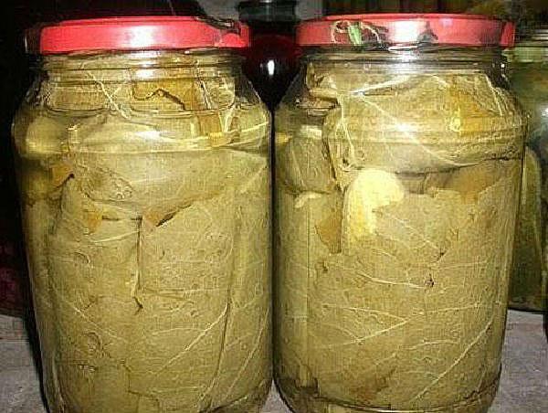 pepinos encurtidos en hojas de parra