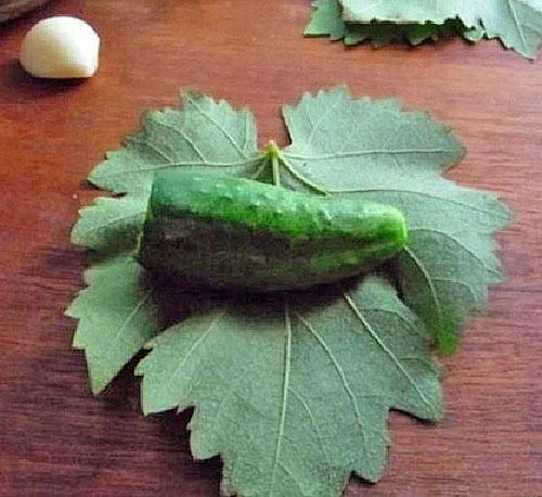 envelopper les concombres dans des feuilles de vigne