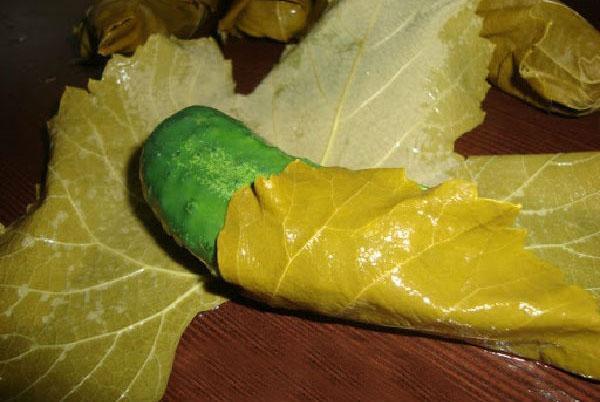 rouler les concombres dans les feuilles de vigne