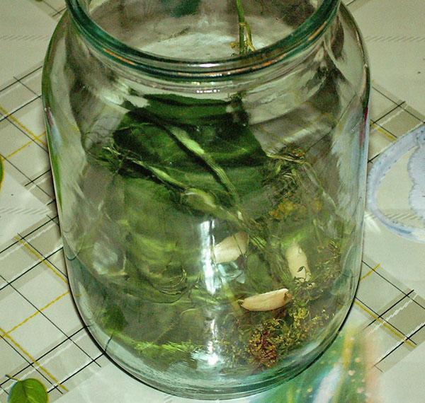 poner especias en frascos