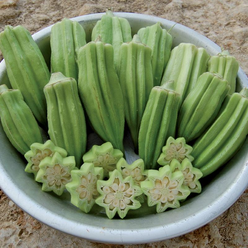 okra propiedades útiles y contraindicaciones de las frutas.