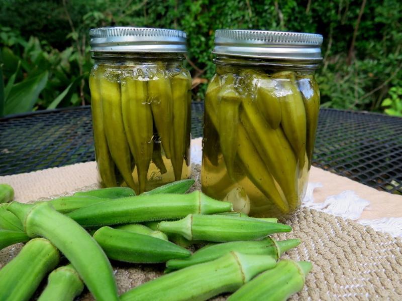 okra propiedades útiles y contraindicaciones.