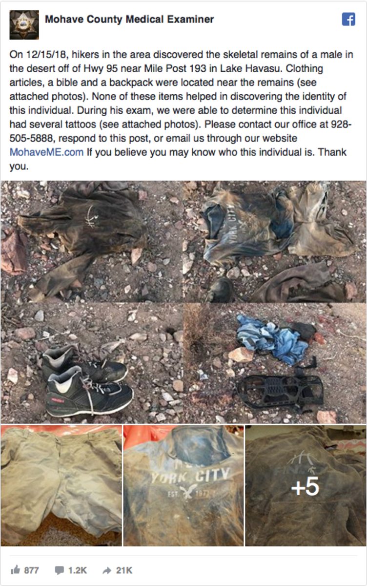 Lake Havasu City, Lake Havasu, arizonská poušť, Mohave County Sheriff, Mohave County, Tattoos Remain on Decomposed Body, Decomposed Body Found in Arizona Desert, Decomposed Body Found in Desert, tattoo pozůstatky, tetování po smrti, Mohave County Medical Examiner, Hwy 95 Mile Post 193, zločin v Arizoně