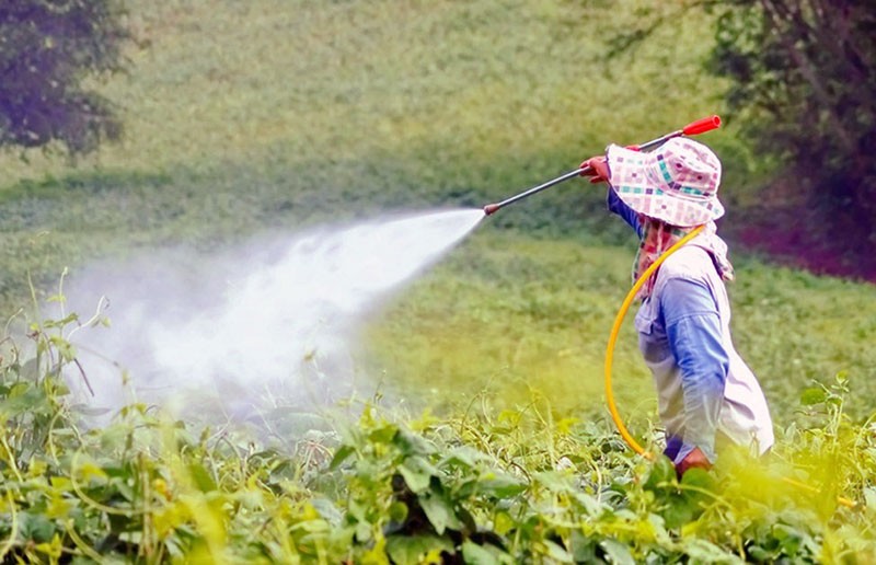 el impacto de los plaguicidas en el medio ambiente