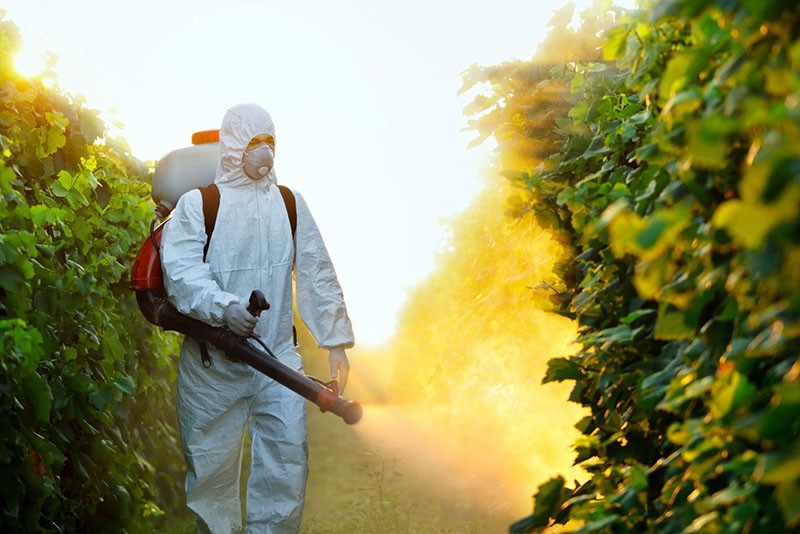 agroquímicos como beneficio y como daño