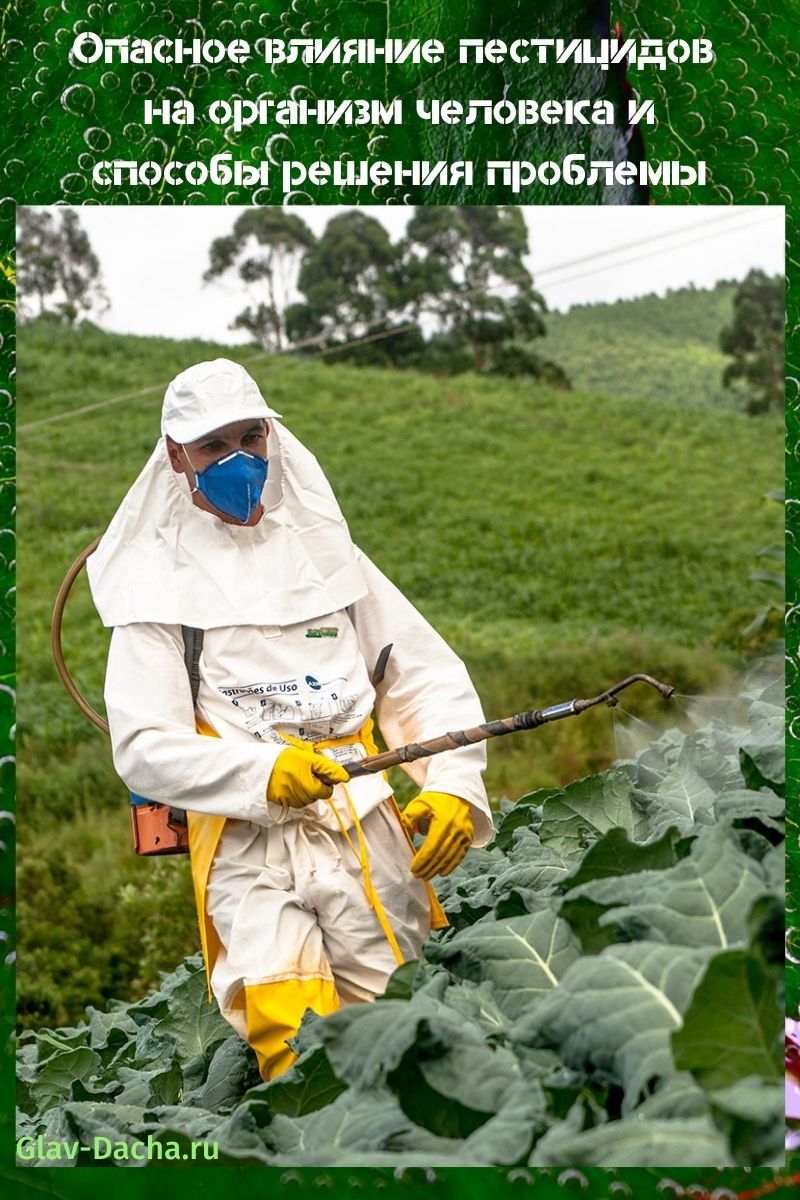 el efecto de los pesticidas en el cuerpo humano