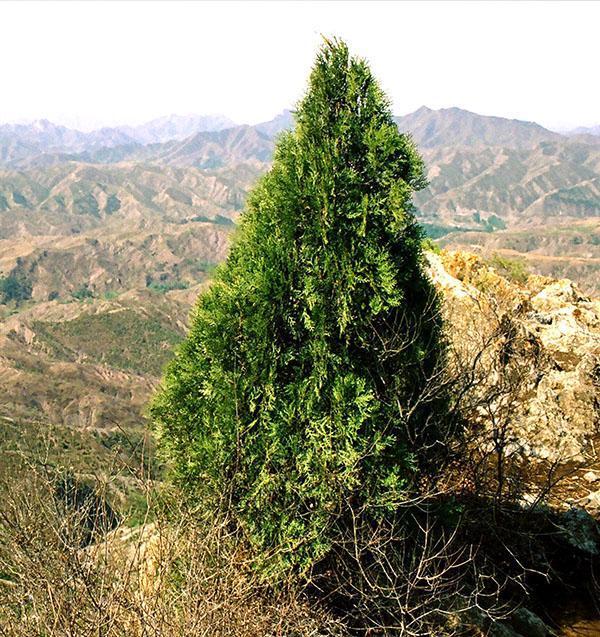 biote dans la nature