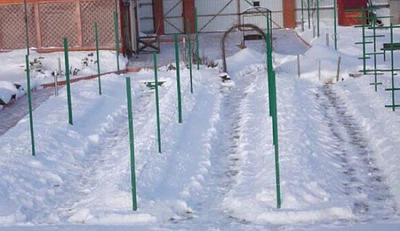 comment couvrir les raisins de neige