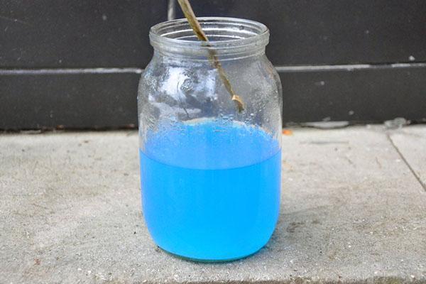 Solution de sulfate de cuivre