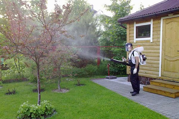 Traitement efficace des arbres