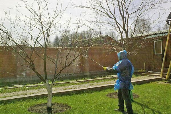 Le traitement du jardin s'effectue en plusieurs étapes.