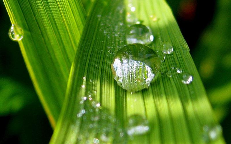 l'humidité de l'air