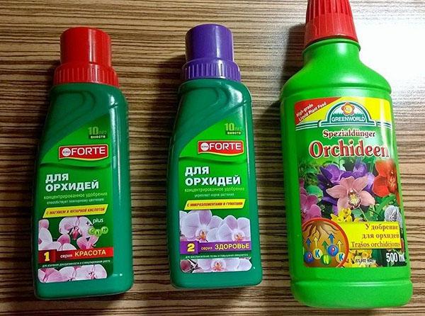 fertilizante para orquídeas