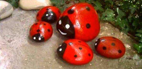 coccinelles