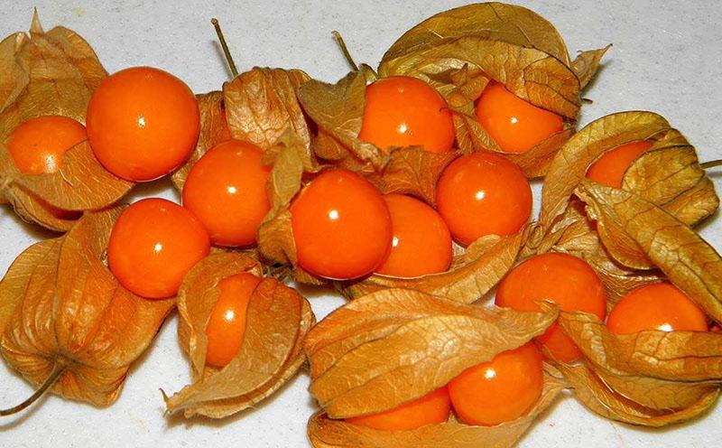 preparar vegetales physalis