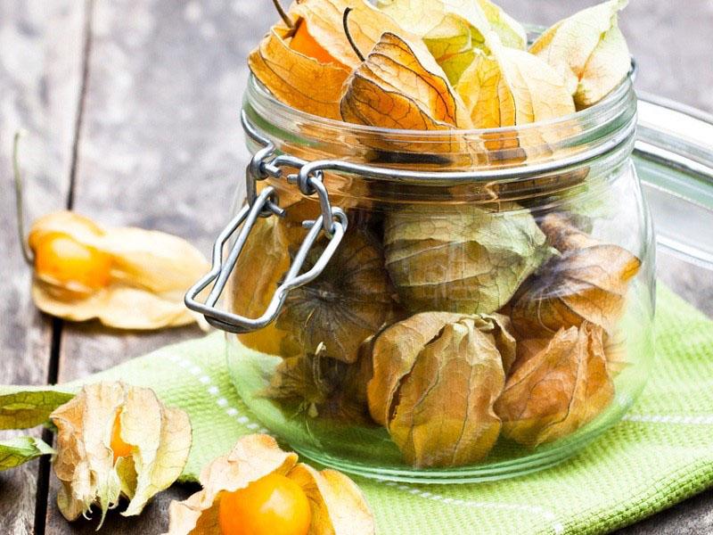 Recetas para cocinar physalis de verduras para el invierno.