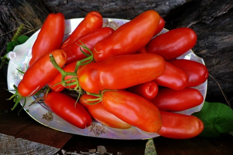 tomate inusual Fleaschen