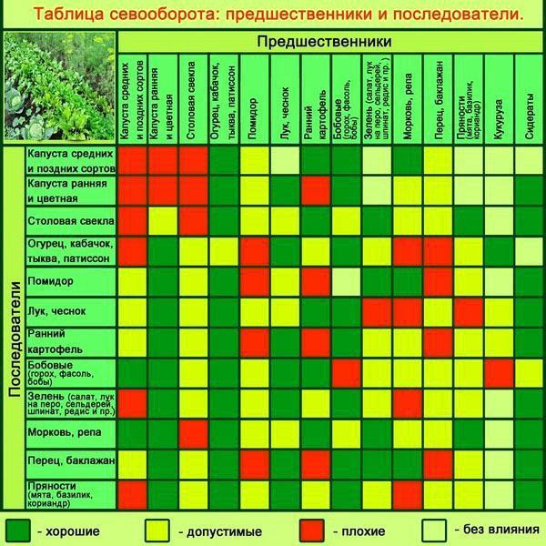 Tabla de rotación de cultivos