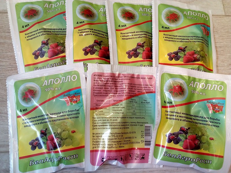 tetrazinas