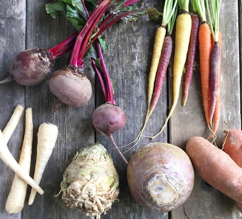 légumes racines de différentes familles