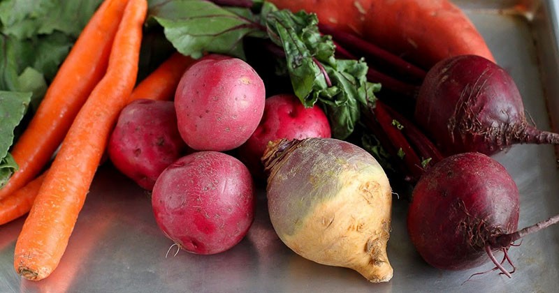 légumes-racines comestibles sains