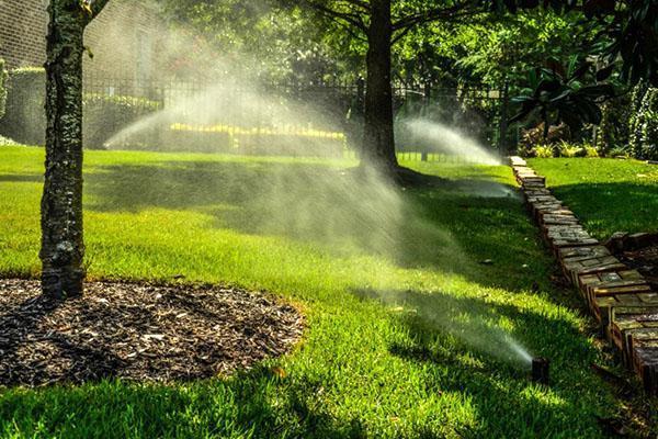 Système d'irrigation spécialement conçu