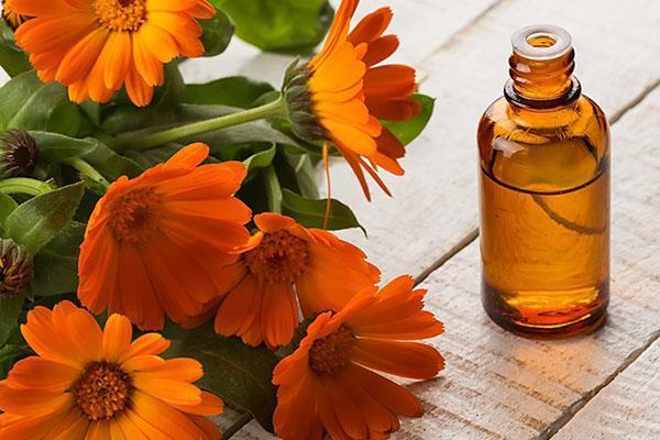 se gargariser avec une solution de teinture de calendula