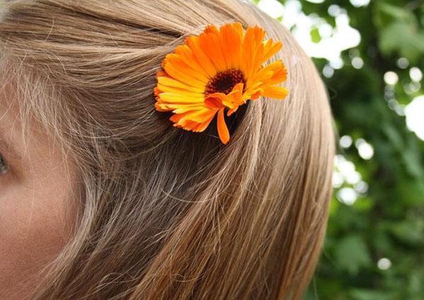 teinture de calendula pour cheveux