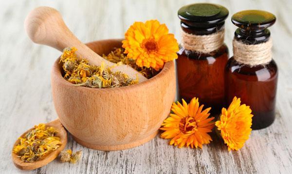 teinture utile de calendula