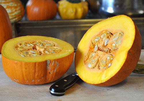 Las semillas se recogen de calabaza madura.