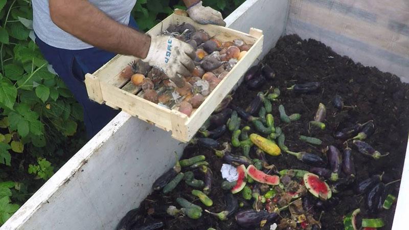 déchets comme nourriture pour les vers