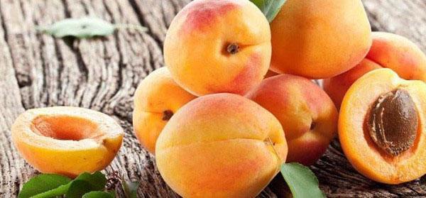 fruits d'abricot juteux brillants