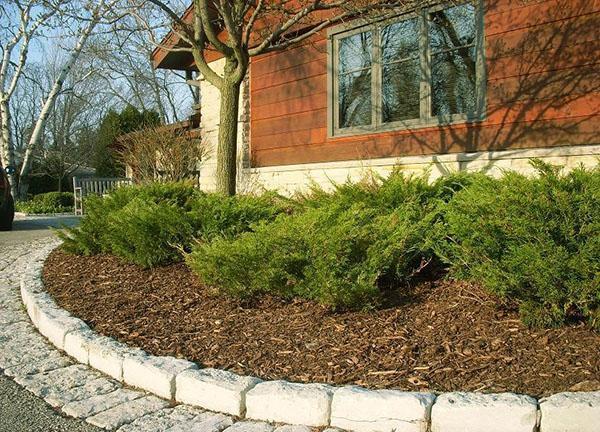 décorer un parterre de fleurs avec du paillis