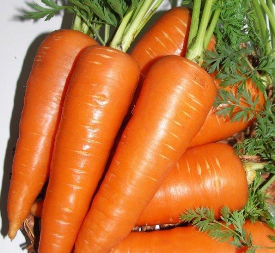 carotte hybride