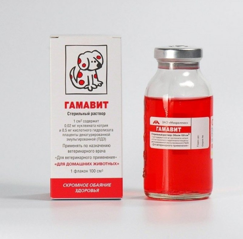 gamavit para perros