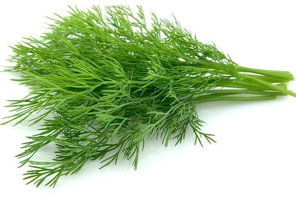 légumes verts vitaminés