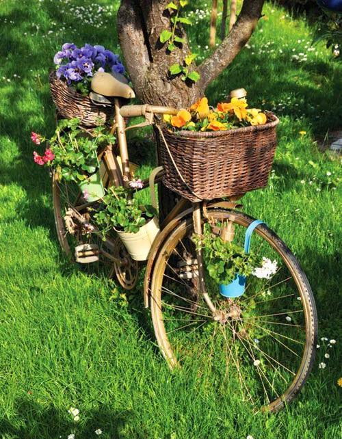 petits parterres de fleurs sur un vélo