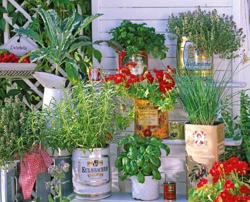 bidons pour planter des herbes