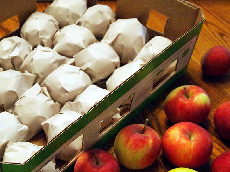 variété de pomme que nous mettons en stock