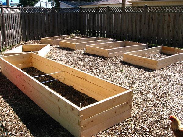 instalación de camas altas en una cabaña de verano