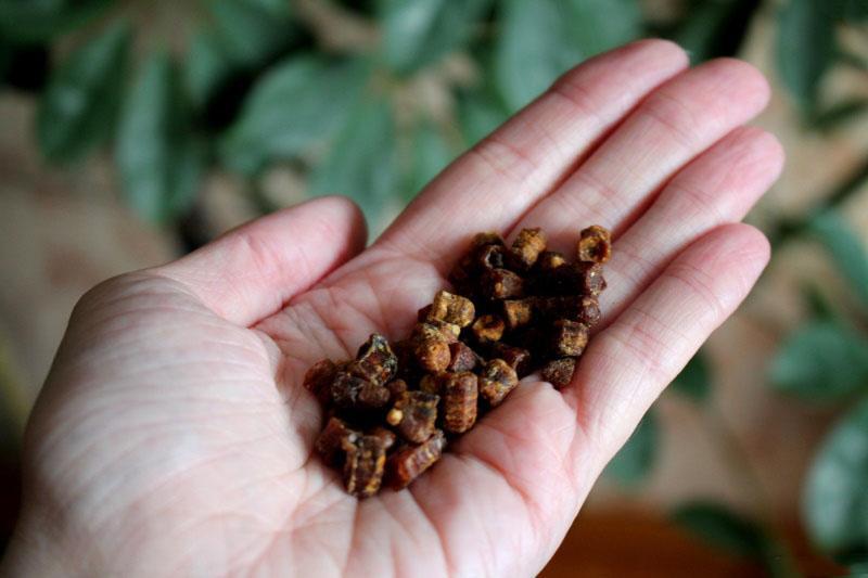 pan de abeja para ayudar a las embarazadas