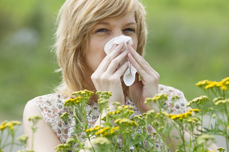 qu'est-ce qu'un zabrus pour les allergies