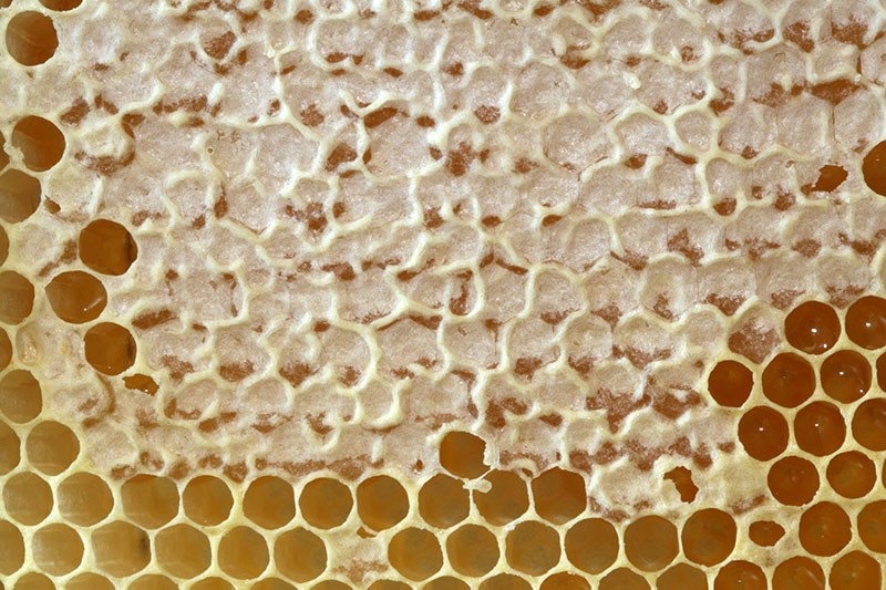 produit apicole unique