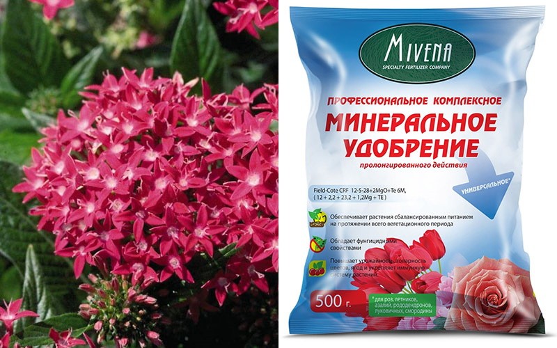 fertilizantes minerales para pentas