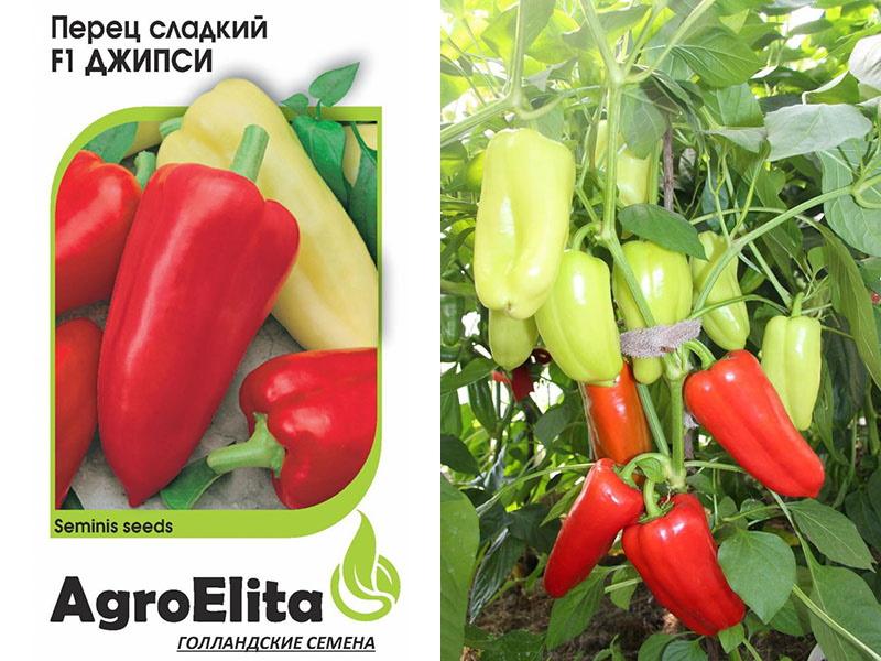 semillas de pimiento Gypsy