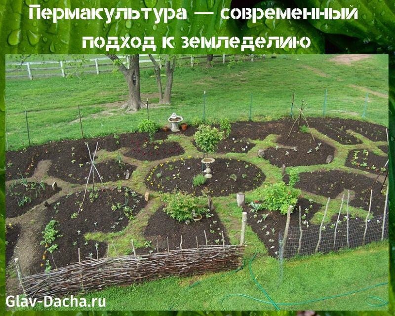 permaculture